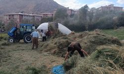 Hakkari’de güneş altında patoz mesaisi başladı