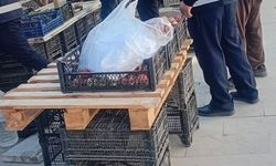 Hakkari'de kaldırım işgal eden iki işyerine ceza kesildi