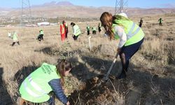 Edremit’te meşe fidanları toprakla buluşturuldu
