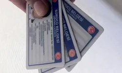 Bugün 15 lira, yarın 7 bin 438 lira