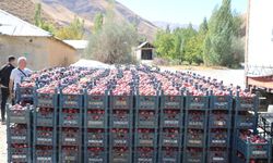 25 yıllık bahçesinden 200 ton elma hasadı yaptı