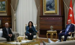 Erdoğan ile görüşen DEM Parti'den açıklama