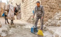 Kadrolu eşekler 7 yıl çalışıp emekli oluyorlar