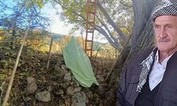 Hakkari’de ceviz ağacından düşen vatandaş hayatını kaybetti