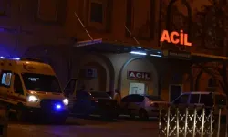 Otomobilin çarptığı yaya hayatını kaybetti