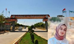 Van YYÜ'den Rojin Kabaiş'in ölümüne ilişkin açıklama