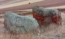 4 bin yıllık 2 Aslantaş için taşınma kararı