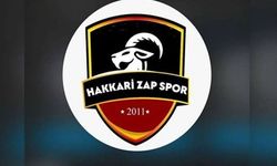 Zap Spor – Kars 36 Spor maçı kar nedeniyle ertelendi