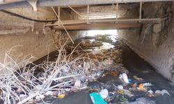 Hakkari’deki bu köprü büyük tehlike oluşturuyor