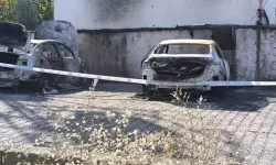 Şırnak'ta park halindeki 2 araç yandı