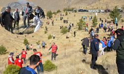 Hakkari'de binlerce fidan toprakla buluşturuldu