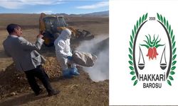 Hakkari Barosu’ndan 'hayvan katliamına' suç duyurusu