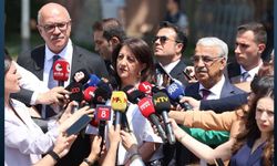 DEM Parti Heyeti, İmralı'dan döndü