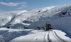 Muş'ta 14 köy yolu ulaşıma kapandı