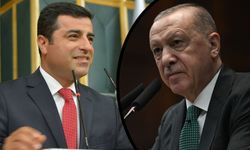 Demirtaş, Erdoğan’la görüşmek istiyor