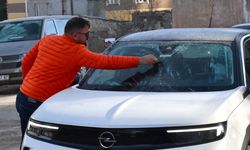 Kars'ta soğuk havanın etkisiyle buzlanma ve kırağı oluştu