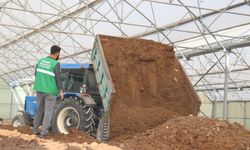 Edremit Belediyesi yeni dönem için serasını yeniliyor