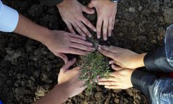 Ağaçlandırma Günü'nde "çifte rekor" kırıldı