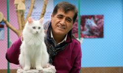 Aydın Aydın Van kedisiyle düet yaptı