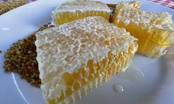 Hakkari'de bu yıl bin 200 ton bal üretildi