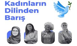 Hakkari'de 'Kadınların dilinden barış' paneli düzenlenecek