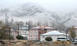 Van'ın ilçelerindeki yüksek kesimlere kar yağdı