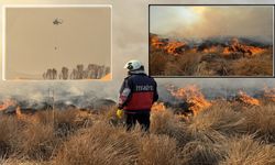 Nehil Sazlığı'ndaki yangına havadan müdahale ediliyor