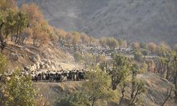 Göçerlerin yaylalardan kışlaklara yolculuğu sürüyor