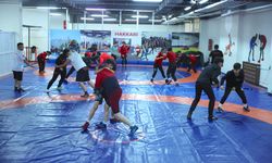 Hakkarili güreşçiler, bu yıl 78 madalya kazandı