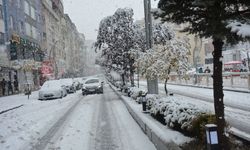 Hakkari şehir merkezine mevsimin ilk karı yağdı