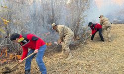 Hakkari'de çıkan orman yangını kontrol altına alındı