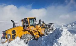 Hakkari’de 9 köy ve 21 mezra yolu ulaşıma açıldı