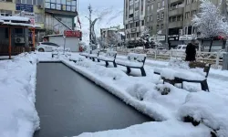 Hakkari için kar uyarısı: O tarihte yağacak!