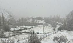 Hakkari şehir merkezi beyaza büründü