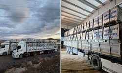 Hakkari’deki 8 belediyeye 1.194 çöp konteyneri