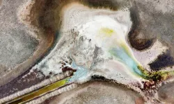 Kuş Cenneti'nde kuş nüfusu azalıyor