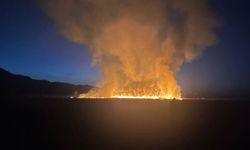 Yüksekova’daki Nehil Sazlığı’nda yangın