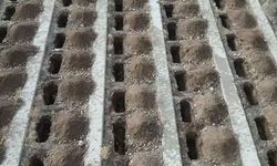 Erzurum'da '500 kışlık mezar' kazıldı