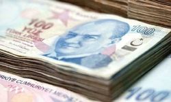 Merkez Bankası, 3 firmanın faaliyet izinlerini iptal etti