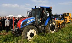 Şırnak'ta yer fıstığı hasadı yapıldı