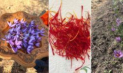 Hakkari tarımında yeni dönem başlıyor