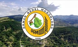 Hakkari’ye OGM’den  sadece 1 kadro ayrıldı