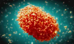 DSÖ'den M çiçeği virüsü uyarısı