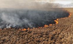Nehil Sazlığı'ndaki yangın söndürüldü