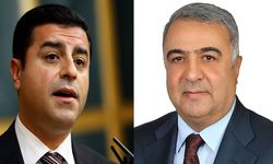 Hakkarili Zeydan'dan Demirtaş çıkışı