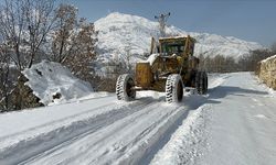 Hakkari’de 43 yerleşim yolu kapandı