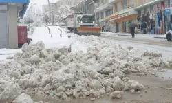 Van'ın 2 ilçesinde 11 yerleşim yeri ulaşıma kapandı