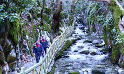 Ayazma Pınarı Tabiat Parkı'na jandarma koruması