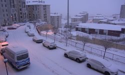 Yüksekova'da kar yağışı etkili oldu