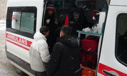 Köpek öğrencilere saldırdı; 3 yaralı